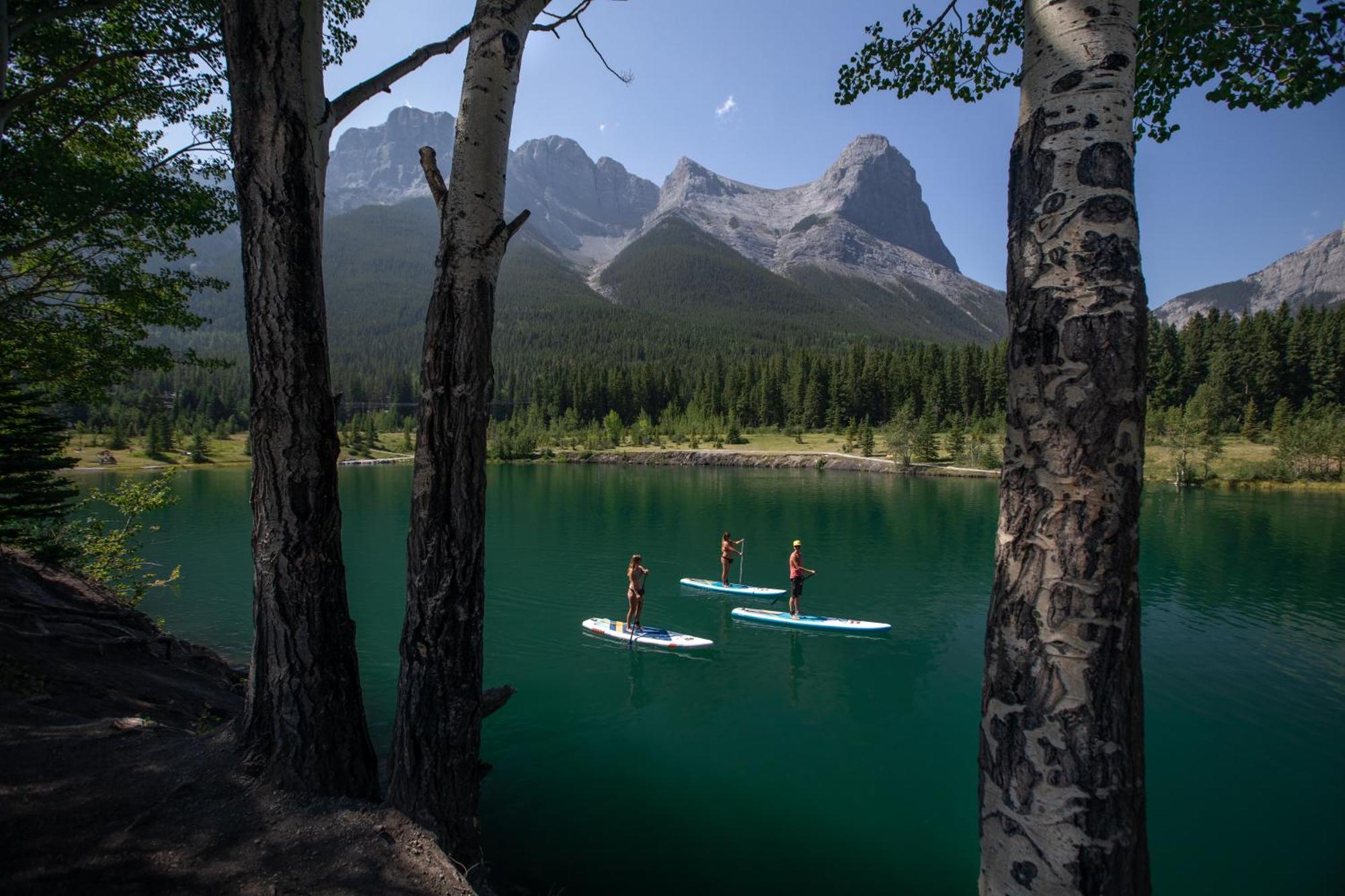 A Bear And Bison Country Inn Canmore Luaran gambar