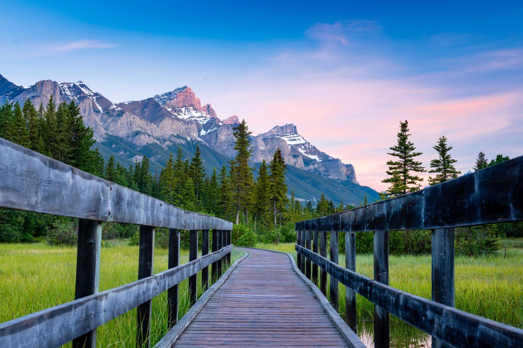 A Bear And Bison Country Inn Canmore Luaran gambar