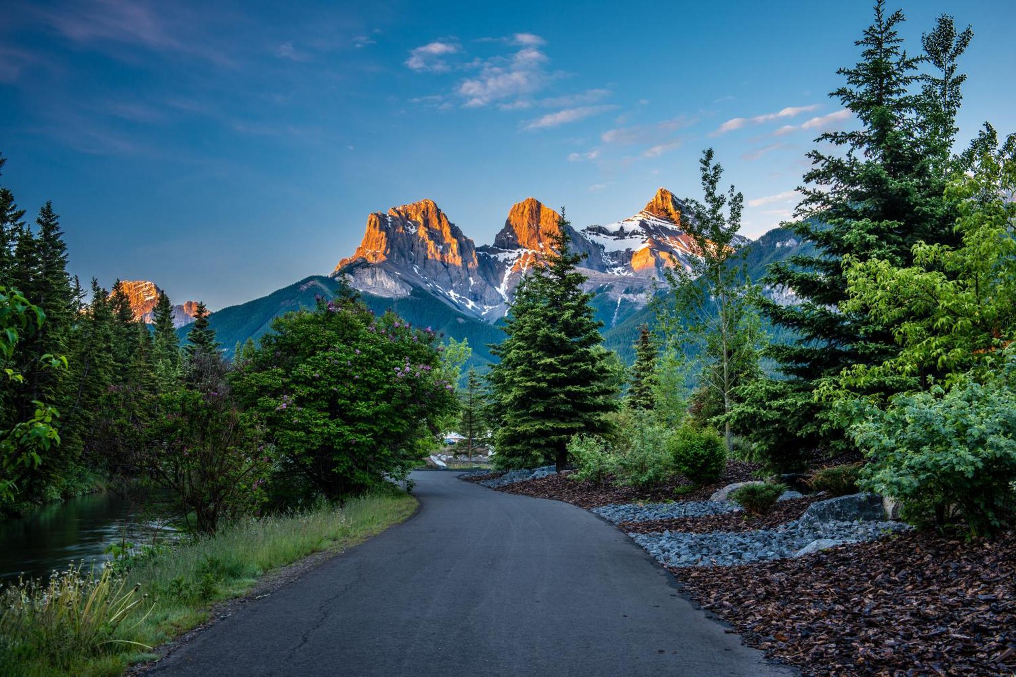 A Bear And Bison Country Inn Canmore Luaran gambar