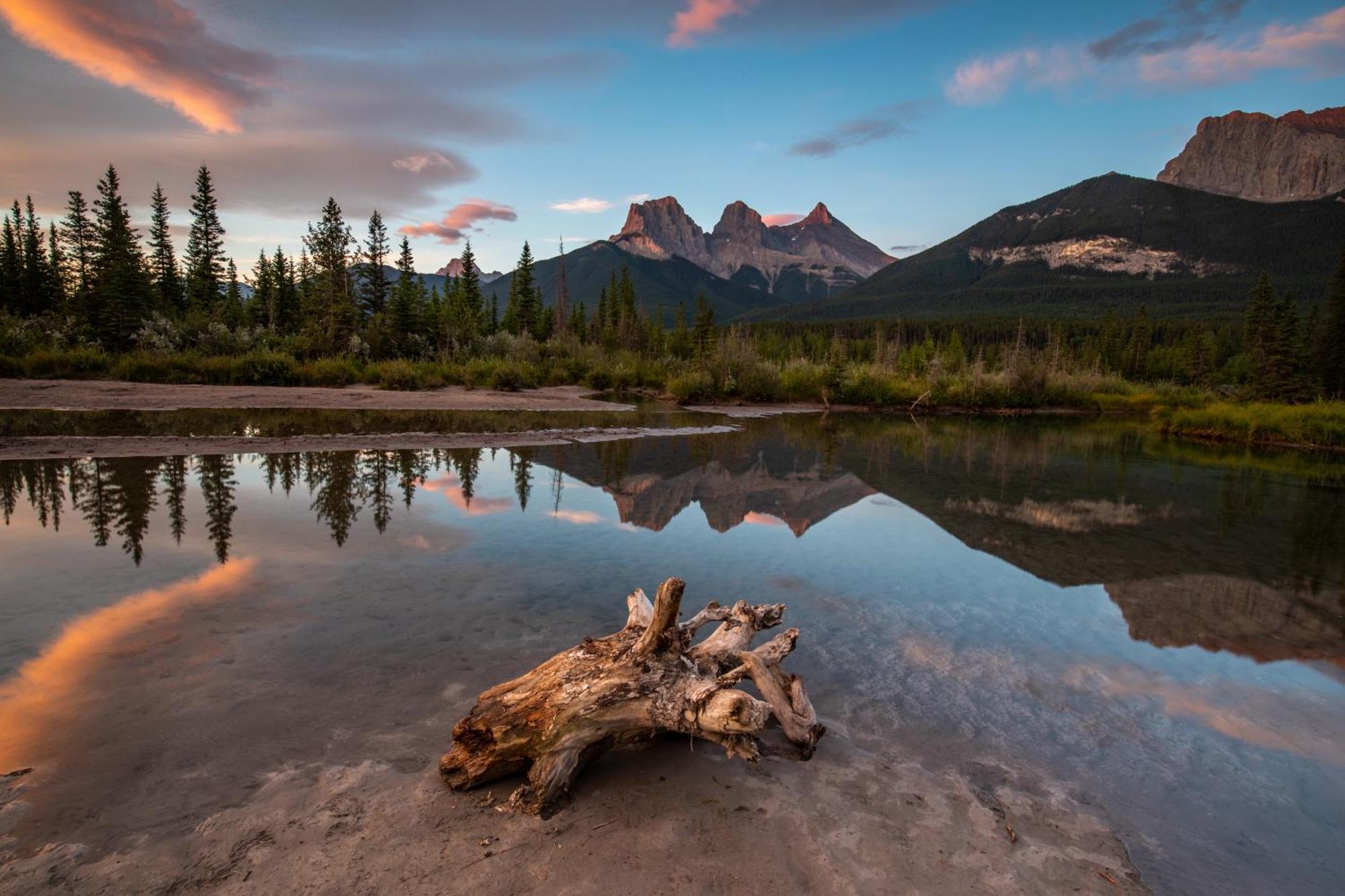 A Bear And Bison Country Inn Canmore Luaran gambar