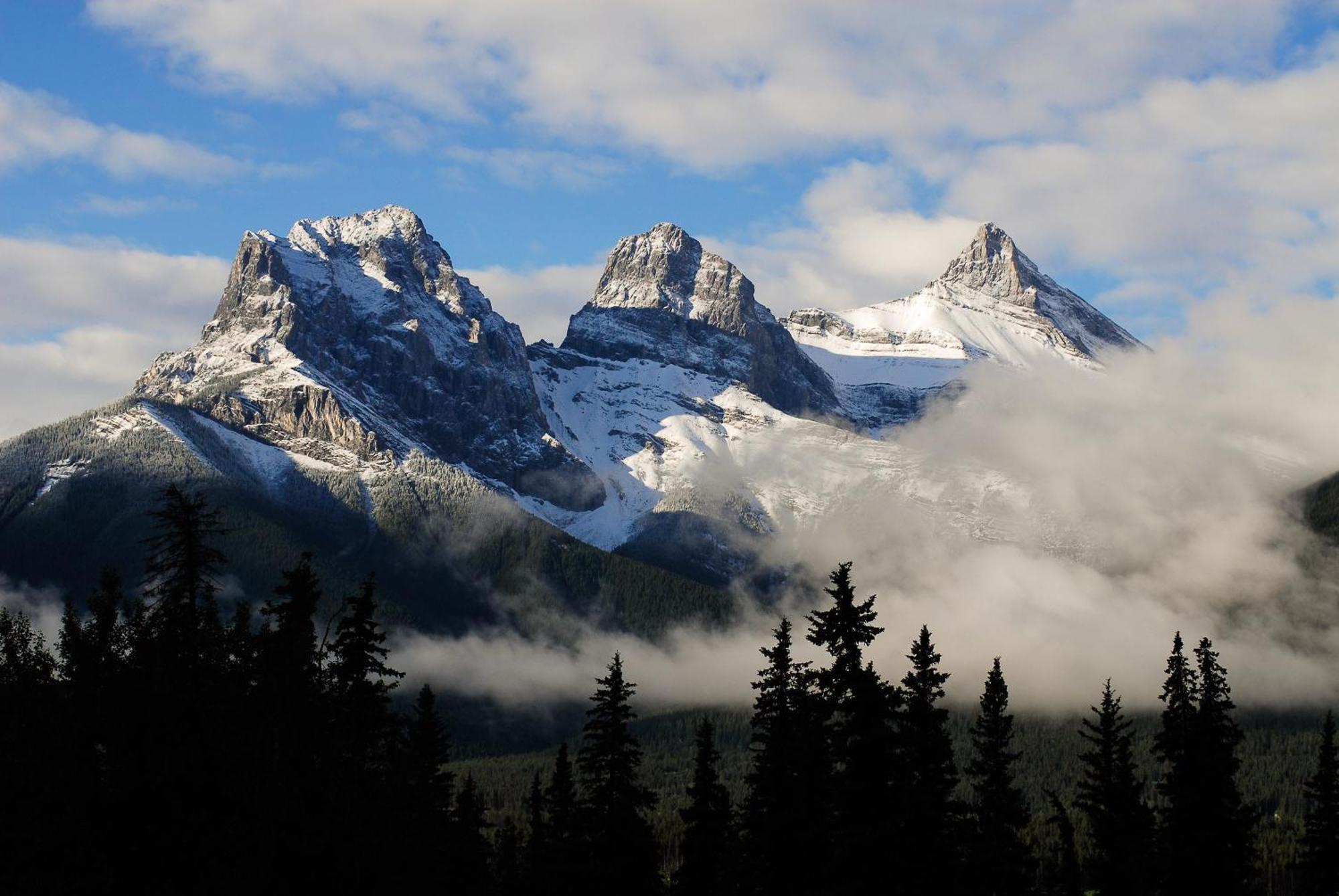 A Bear And Bison Country Inn Canmore Luaran gambar